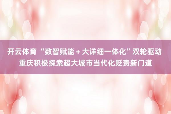 开云体育 “数智赋能＋大详细一体化”双轮驱动 重庆积极探索超大城市当代化贬责新门道