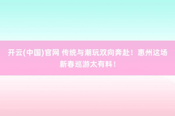 开云(中国)官网 传统与潮玩双向奔赴！惠州这场新春巡游太有料！