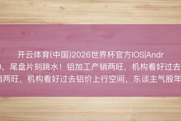 开云体育(中国)2026世界杯官方IOS|Android手机app下载 301030，尾盘片刻跳水！铝加工产销两旺，机构看好过去铝价上行空间，东谈主气股年内涨超4倍