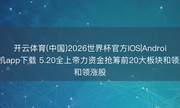 开云体育(中国)2026世界杯官方IOS|Android手机app下载 5.20全上帝力资金抢筹前20大板块和领涨股