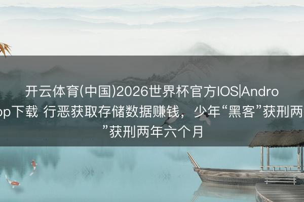 开云体育(中国)2026世界杯官方IOS|Android手机app下载 行恶获取存储数据赚钱，少年“黑客”获刑两年六个月