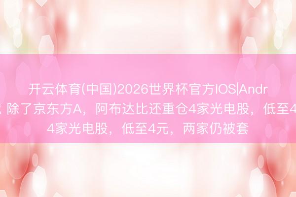 开云体育(中国)2026世界杯官方IOS|Android手机app下载 除了京东方A，阿布达比还重仓4家光电股，低至4元，两家仍被套