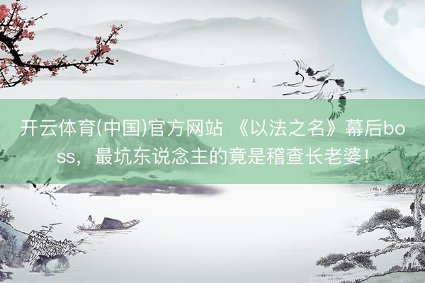 开云体育(中国)官方网站 《以法之名》幕后boss，最坑东说念主的竟是稽查长老婆！
