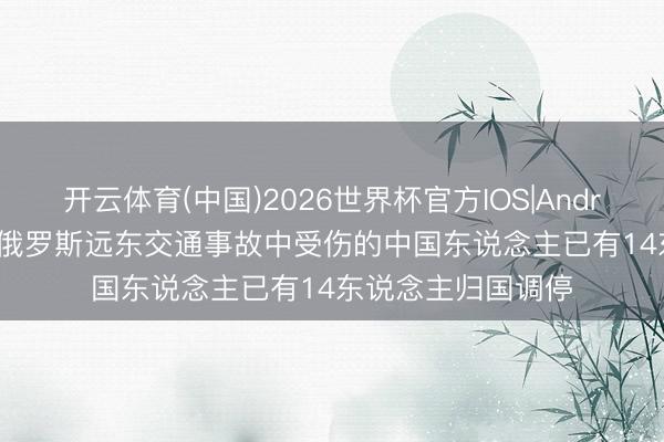 开云体育(中国)2026世界杯官方IOS|Android手机app下载 俄罗斯远东交通事故中受伤的中国东说念主已有14东说念主归国调停